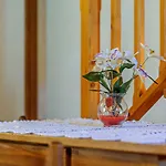 Kuca Za Odmor Perin Dvor Apartamento