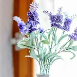 Kuca Za Odmor Perin Dvor Apartamento Šibenik