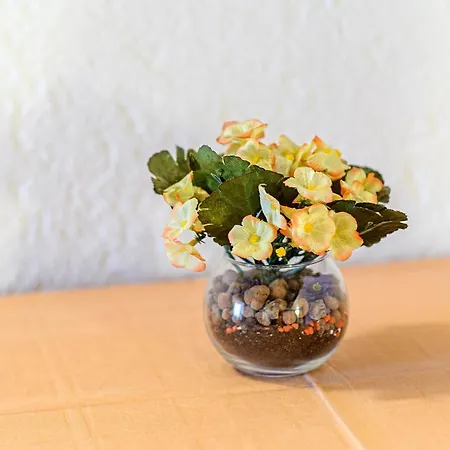 Kuca Za Odmor Perin Dvor *