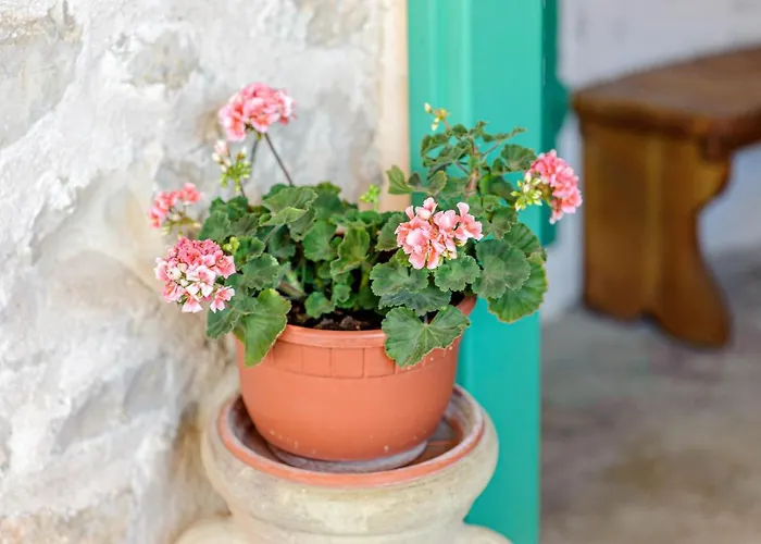 Appartement Kuca Za Odmor Perin Dvor Šibenik