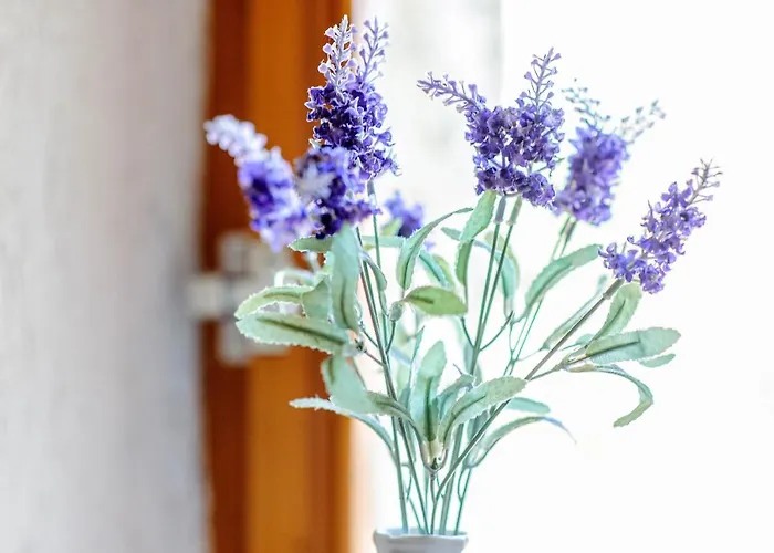 Kuca Za Odmor Perin Dvor Appartement Šibenik